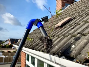 GUTTER SERVICES